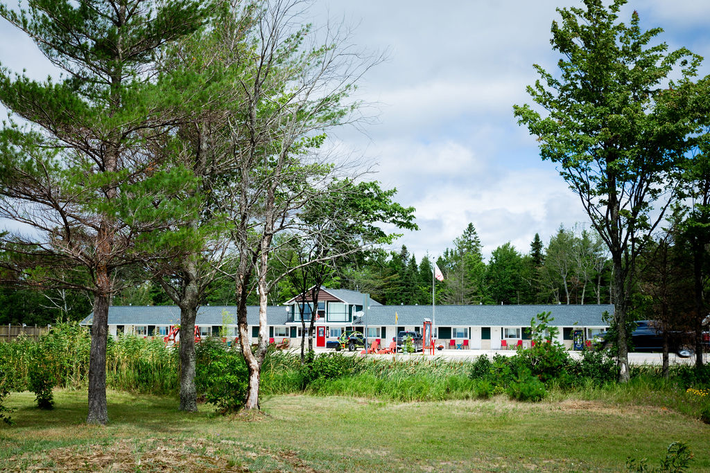 Front view of the lodge through pine trees