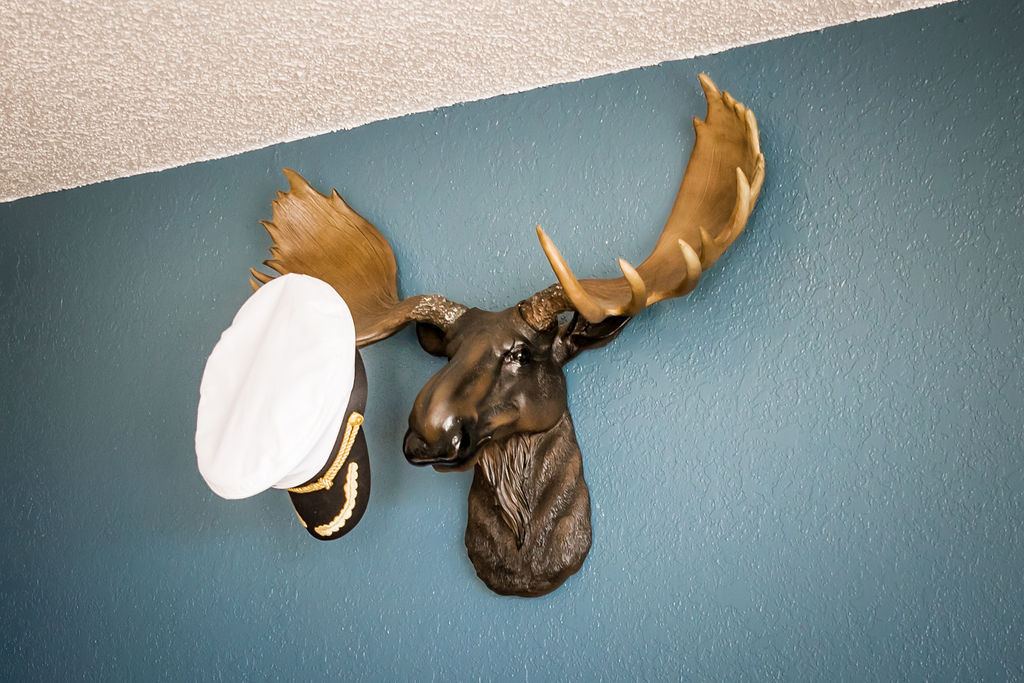Mounted moose head wearing a sailor's cap on a teal wall
