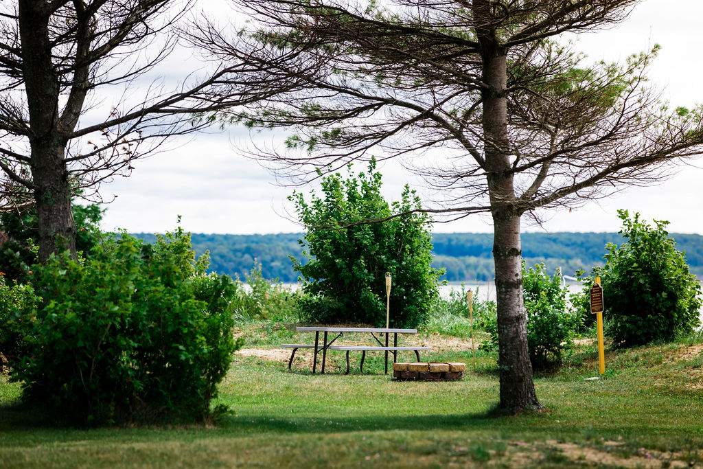 Picnic table tucked between pines with the lake beyond