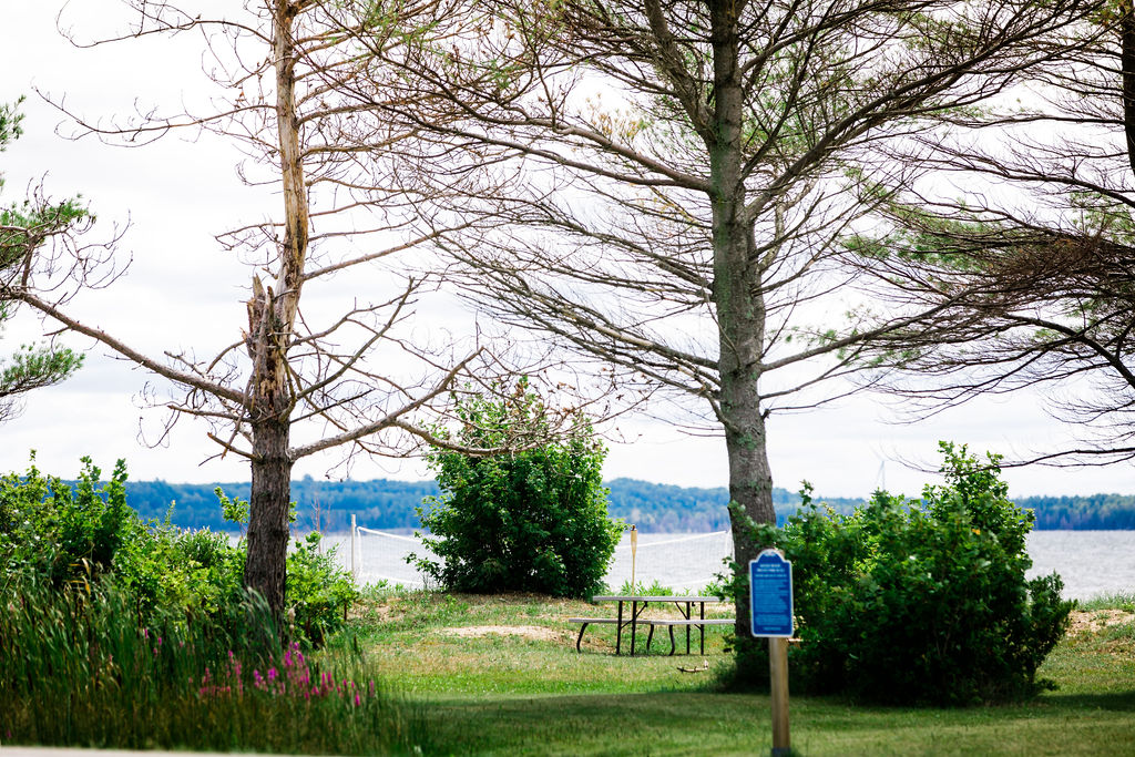 Beach volleyball net glimpsed through the pines by the lake